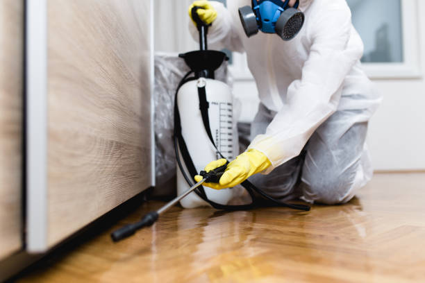 Best Pest Control Near Me in University Of Pittsburgh Johnstown, PA