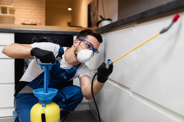 Best Residential Pest Control  in University Of Pittsburgh Johnstown, PA