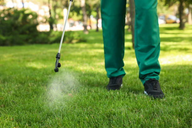 Reliable University Of Pittsburgh Johnstown, PA Pest Control Solutions