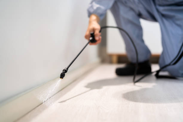 Best Commercial Pest Control Services  in University Of Pittsburgh Johnstown, PA