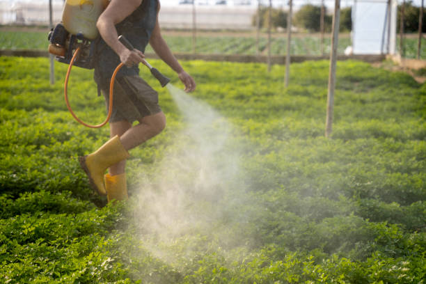 Best Pest Removal Services  in University Of Pittsburgh Johnstown, PA