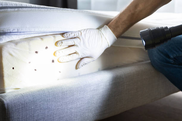 Best Mosquito Control Services  in University Of Pittsburgh Johnstown, PA