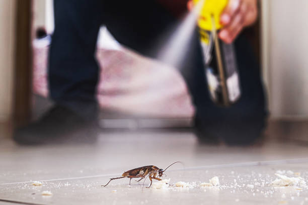 Best Ant Control Services  in University Of Pittsburgh Johnstown, PA