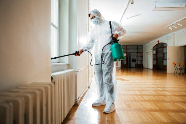 Best Flea Control Services  in University Of Pittsburgh Johnstown, PA